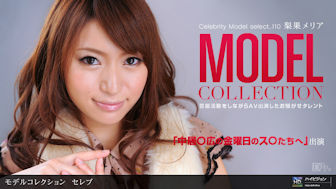 Model Collection select...110 Zu